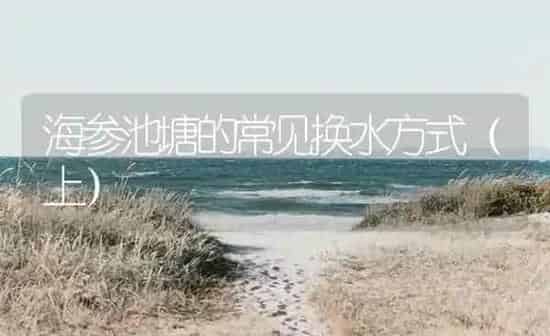 海参池塘的常见换水方式（上） | 海水养殖