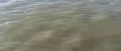 遇水体发红、发黑、发浑等异常水质，盲目用药就错了！有效处理方法在此
