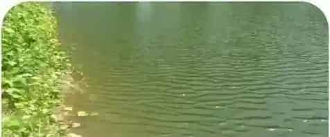 遇水体发红、发黑、发浑等异常水质，盲目用药就错了！有效处理方法在此