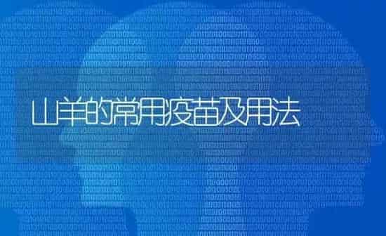 山羊的常用疫苗及用法 | 家畜养殖