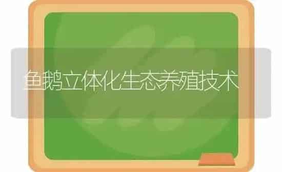 鱼鹅立体化生态养殖技术 | 家禽养殖