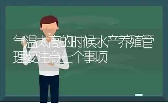 气温太高的时候水产养殖管理要注意三个事项 | 动物养殖百科