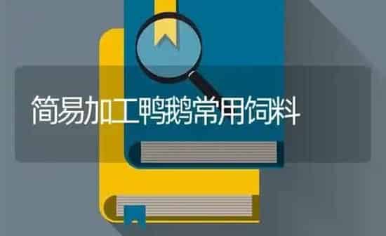 简易加工鸭鹅常用饲料 | 家禽养殖