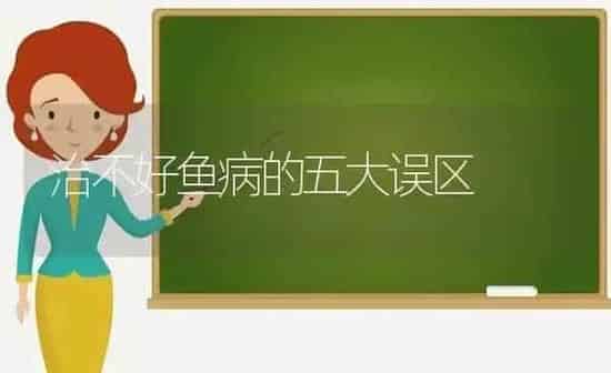 治不好鱼病的五大误区 | 淡水养殖