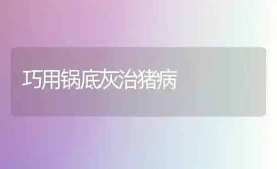 巧用锅底灰治猪病 | 家畜养殖