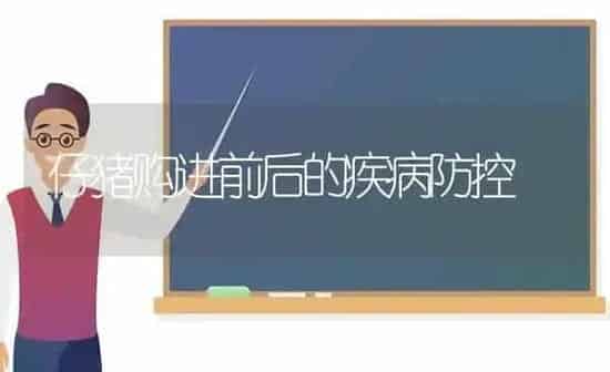 仔猪购进前后的疾病防控 | 家畜养殖