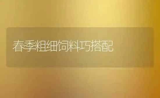 春季粗细饲料巧搭配 | 动物养殖饲料