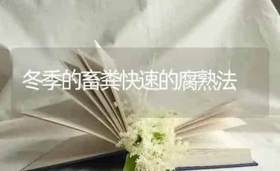 冬季的畜粪快速的腐熟法 | 家畜养殖