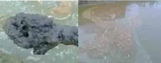 改底在水产养殖中的重要性和改底方法