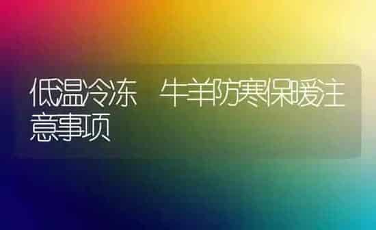 低温冷冻 牛羊防寒保暖注意事项 | 家畜养殖