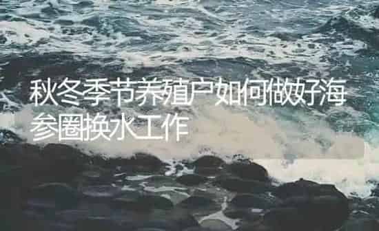 秋冬季节养殖户如何做好海参圈换水工作 | 海水养殖