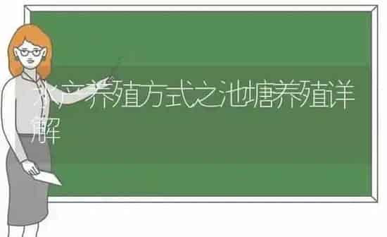 水产养殖方式之池塘养殖详解 | 动物养殖百科