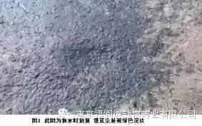 【知根知底对症下药】池塘泥皮的预防与处理方法