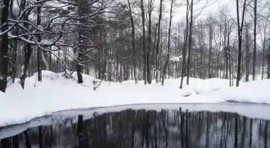 水产养殖越冬管理相关技术要点