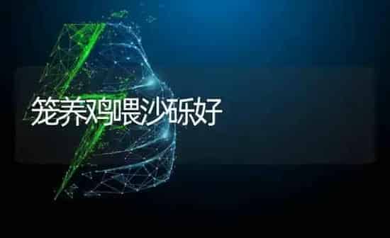 笼养鸡喂沙砾好 | 家禽养殖