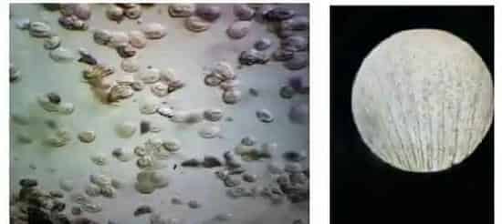 水产养殖池塘如何应对连续阴雨天？