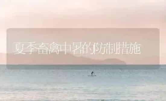 夏季畜禽中暑的防制措施 | 家禽养殖