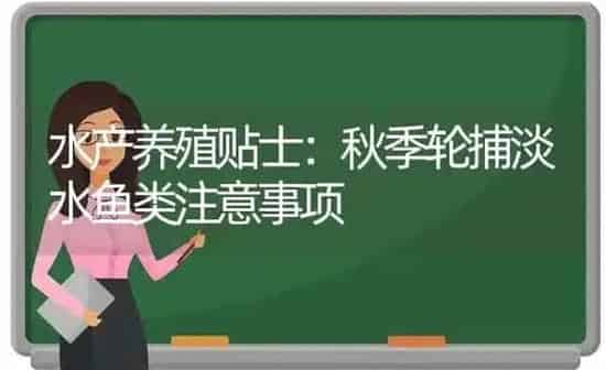 水产养殖贴士:秋季轮捕淡水鱼类注意事项 | 动物养殖百科