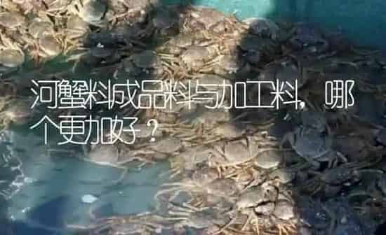 河蟹料成品料与加工料，哪个更加好？ | 淡水养殖