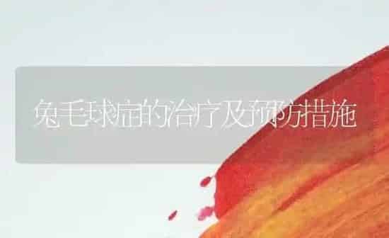兔毛球症的治疗及预防措施 | 家畜养殖