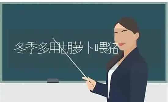冬季多用胡萝卜喂猪 | 家畜养殖