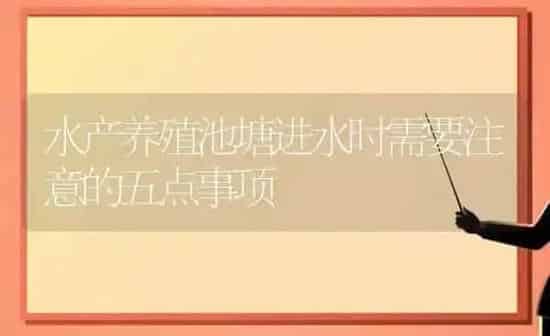 水产养殖池塘进水时需要注意的五点事项 | 动物养殖百科