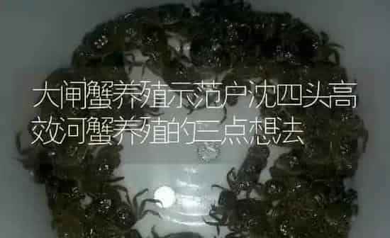 河蟹软壳病产生的原因和防治方法 | 淡水养殖