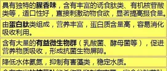 冬棚养殖南美白对虾需要加强这几点，你知道吗？