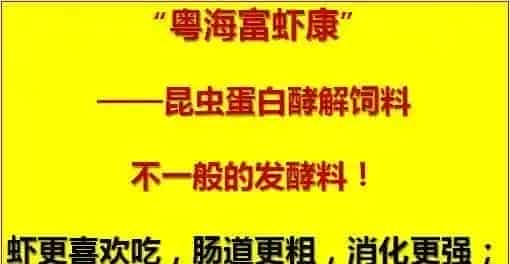 冬棚养殖南美白对虾需要加强这几点，你知道吗？