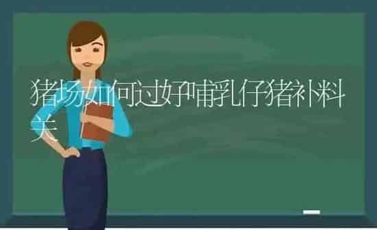 猪场如何过好哺乳仔猪补料关 | 家畜养殖