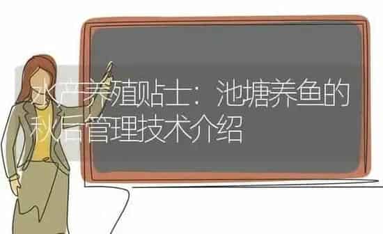 水产养殖贴士：池塘养鱼的秋后管理技术介绍 | 动物养殖百科