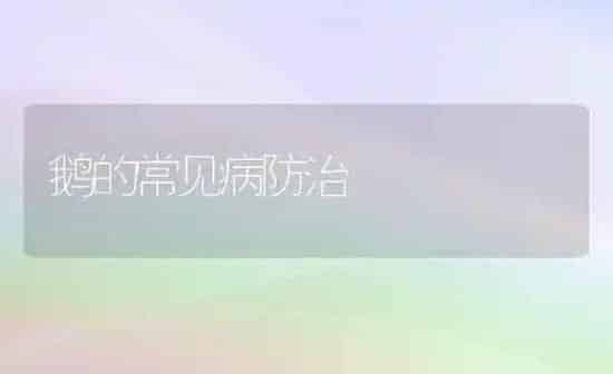 鹅的常见病防治 | 家禽养殖