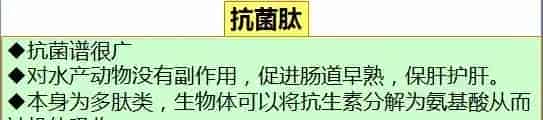 冬棚养殖南美白对虾需要加强这几点，你知道吗？