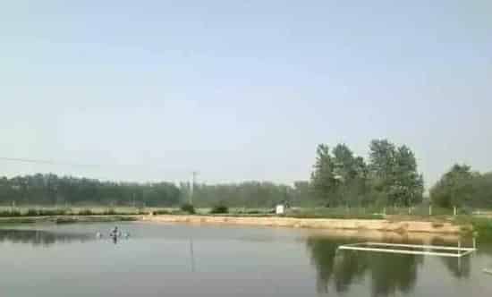 秋冬季节水产养殖管理的四个注意事项