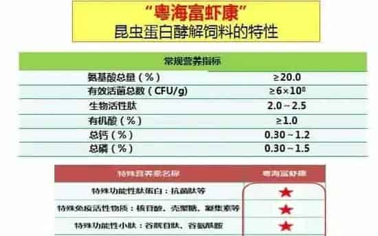 冬棚养殖南美白对虾需要加强这几点，你知道吗？