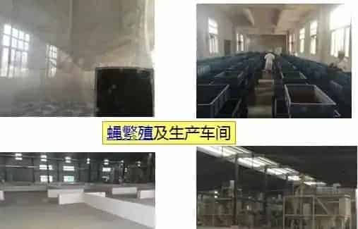 冬棚养殖南美白对虾需要加强这几点，你知道吗？