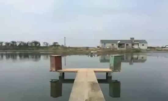 秋冬季节水产养殖管理的四个注意事项