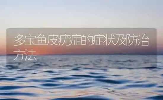 多宝鱼皮疣症的症状及防治方法 | 海水养殖