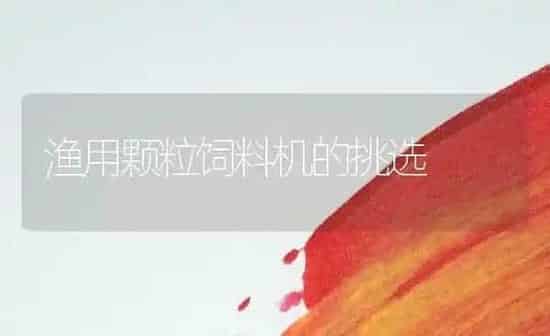 渔用颗粒饲料机的挑选 | 动物养殖饲料