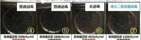 青鱼、鳊鱼鱼病高峰即将来临，请做好准备