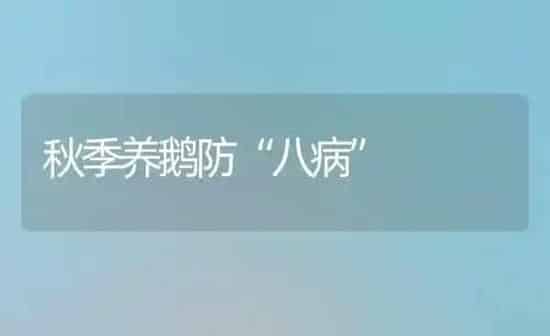 秋季养鹅防“八病” | 家禽养殖