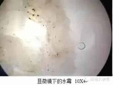 寒潮来袭，低温期水产养殖管理方案关键点梳理