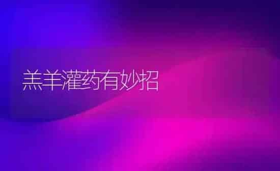 羔羊灌药有妙招 | 养殖病虫害防治