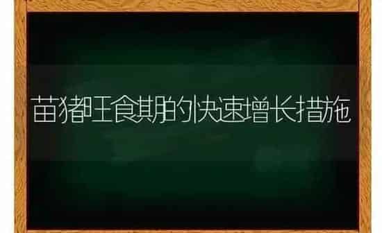 苗猪旺食期的快速增长措施 | 家畜养殖