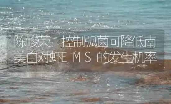 陈峻荣：控制弧菌可降低南美白对虾EMS的发生机率 | 海水养殖