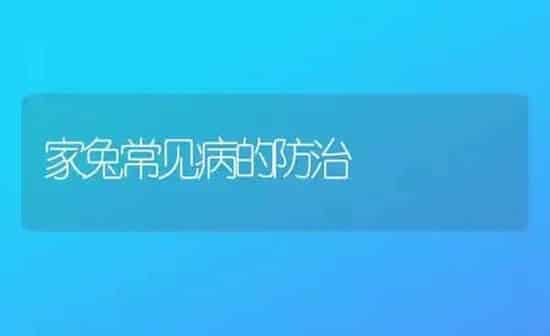 家兔常见病的防治 | 家畜养殖