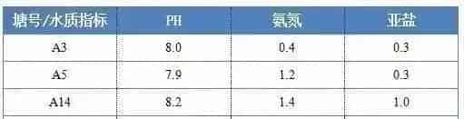 都在谈诺卡氏菌色变，其实生鱼烂身病还是有防治方法的……