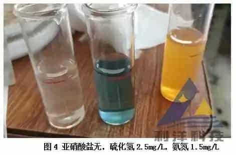 [每周一例]牛蛙后肢溃烂，大量死亡