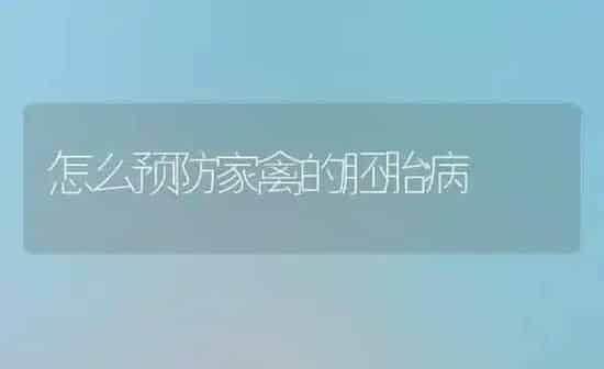 怎么预防家禽的胚胎病 | 家禽养殖