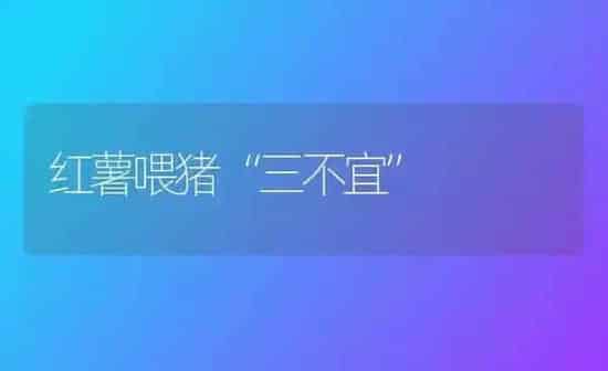 红薯喂猪“三不宜” | 家畜养殖